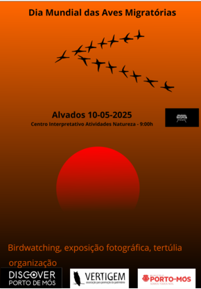 cartaz_1351