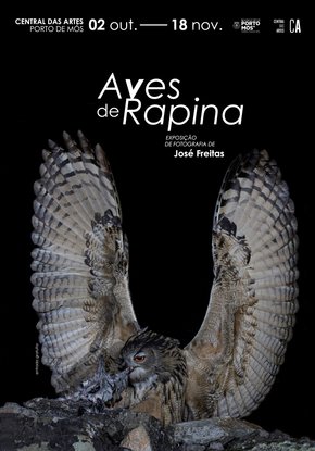 cartaz_aves_de_rapina_02