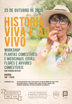 cartaz_1513