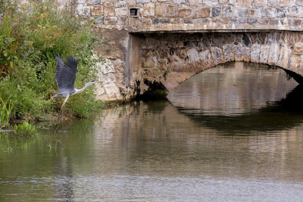 1_foto_livroportomos_ponteriolena_5021