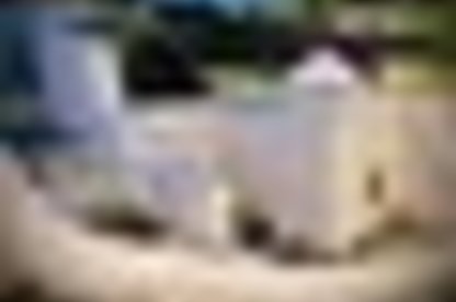 tiny_thumb_1_foto_img_6115