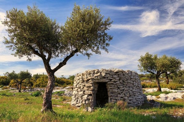 livroportomos_telhadosgrandes_casinas_1_1024_2500