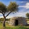 thumb_livroportomos_telhadosgrandes_casinas_1_1024_2500