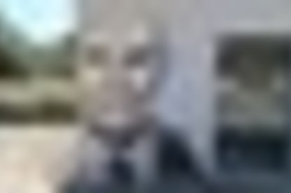 tiny_thumb_2_foto_img_2423edi