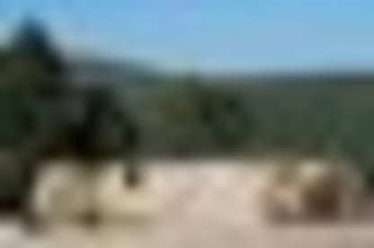 tiny_thumb_1_foto_img_2829