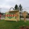 thumb_1_foto_img_2474edi