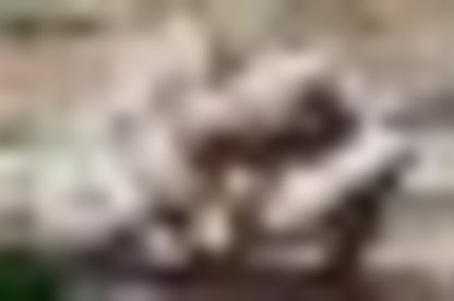 tiny_thumb_1_foto_img_2477edi