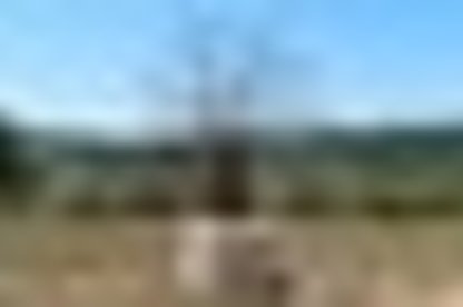 tiny_thumb_3_foto_img_2536edi