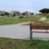 thumb_1_foto_img_2456edi