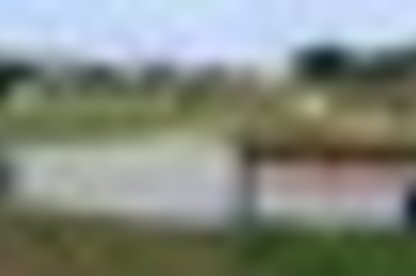 tiny_thumb_1_foto_img_2456edi