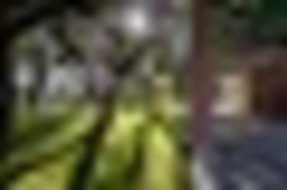 tiny_thumb_1_foto_livroportomos_parquebemposta_5451