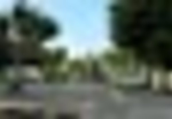 tiny_thumb_1_foto_img_2395edi