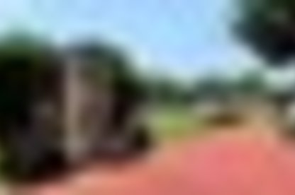 tiny_thumb_1_foto_img_2555edi