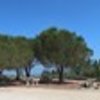 thumb_1_foto_img_2491edi
