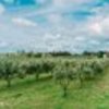 thumb_casa_f_1_1024_2500
