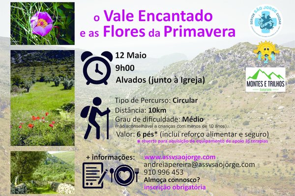 cartaz_caminhada_a4_2019