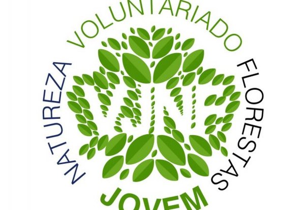 voluntariado_jovem_logo