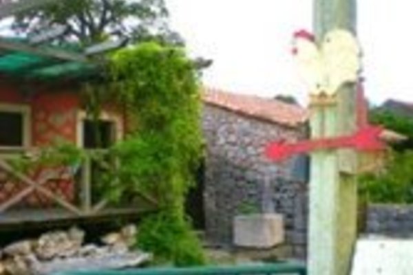 alojamento_casa_da_ti_galinha