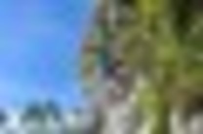 tiny_thumb_pe_codacal_fmr7251