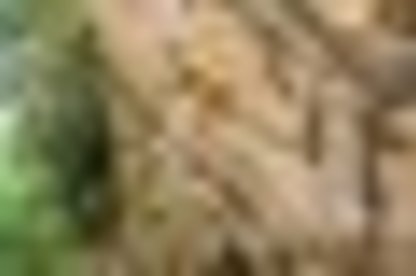 tiny_thumb_pe_poio_daire_fmr7775