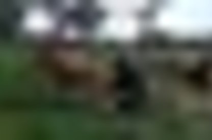 tiny_thumb_image_2