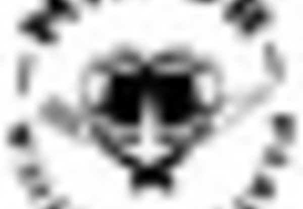 tiny_thumb_cafe_major_plateia_rustica