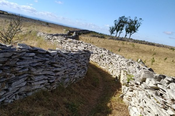 7_foto_muros_de_pedra_seca