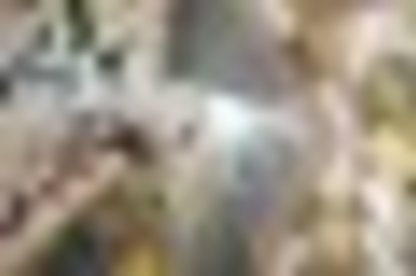 tiny_thumb_z72_9316