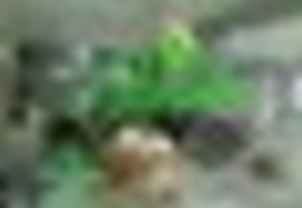 tiny_thumb_cofee_shop_o_jardim