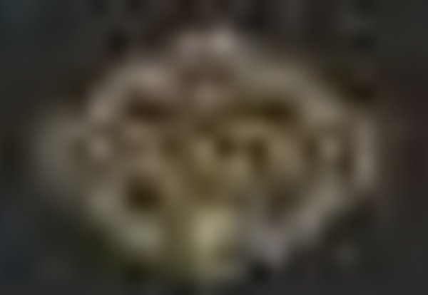 tiny_thumb_facebook_1645524874505_6901831563241358612_1_1024_2500