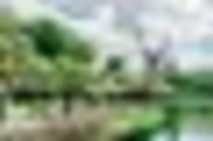 tiny_thumb_parque_verde