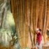 thumb_2_foto_grutasmiraaire_estalactite