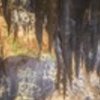 thumb_4_foto_livroportomos_miradeaire_grutas_00008