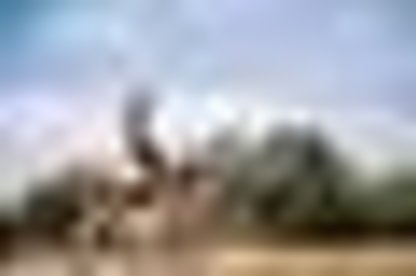 tiny_thumb_3_foto_82396362_102782468166519_5095952803562359052_o