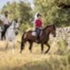 thumb_1_foto_livroportomos_centrohipicoalcaria_7133_edited