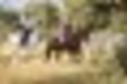 tiny_thumb_1_foto_livroportomos_centrohipicoalcaria_7133_edited