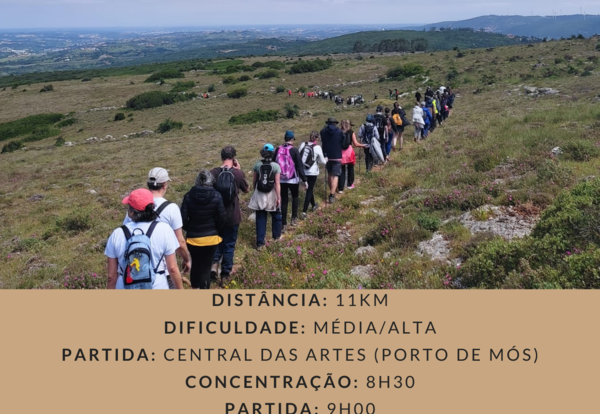cartaz_1388