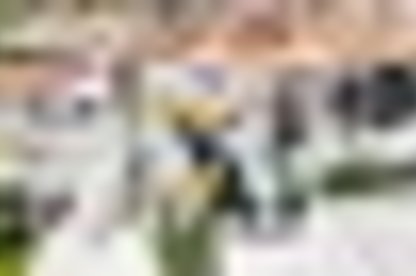 tiny_thumb_dji_20240102084445_0305_d
