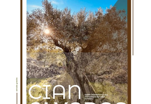 _cartaz_memorias_do_azeite_01