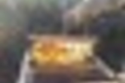 tiny_thumb_apicutura_ciam