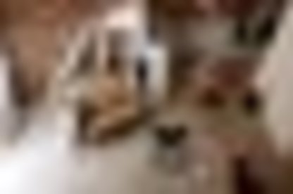 tiny_thumb_b16be1e1_6060_4501_b451_4ddce5c2dec7