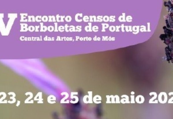 censo_borboletaspeq