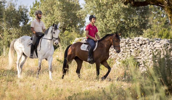 Percursos Equestres