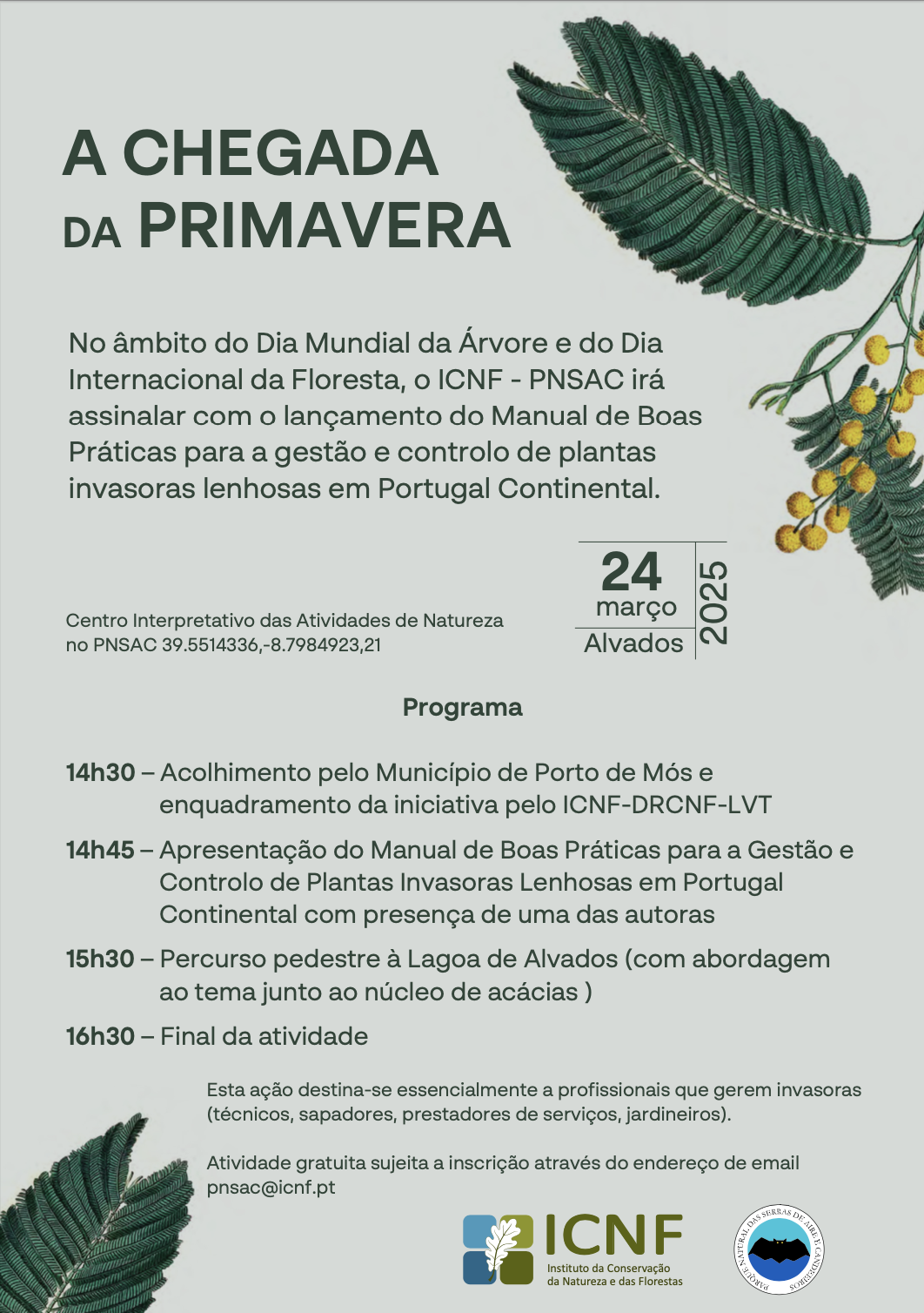 A Chegada Da Primavera