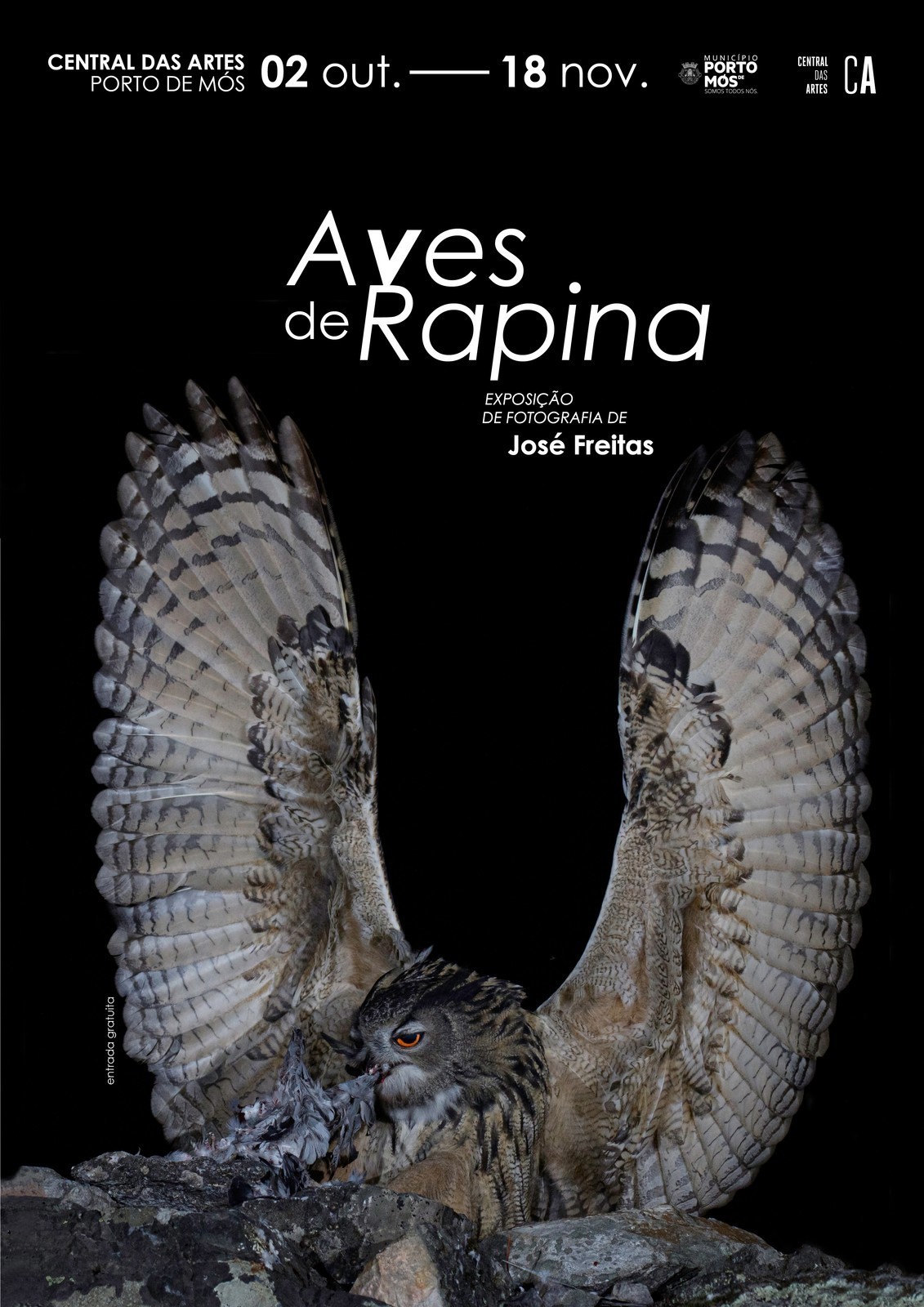 Aves de Rapina - Fotografias de José Freitas na Central das Artes