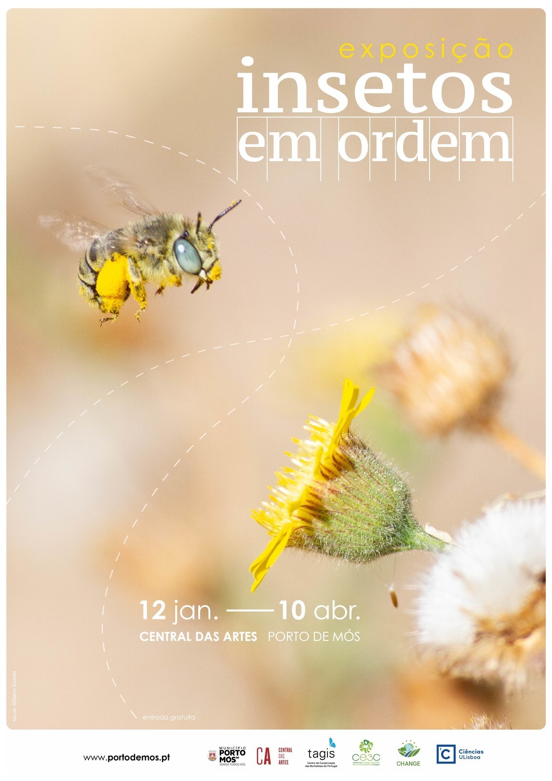 Exposição "Insetos em Ordem"