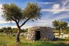 thumb_livroportomos_telhadosgrandes_casinas_1_1024_2500