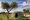 tiny_thumb_livroportomos_telhadosgrandes_casinas_1_1024_2500