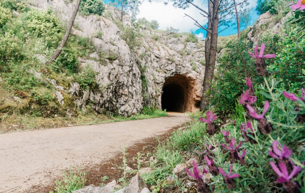 Ecopista - Antigo Caminho de Ferro da Bezerra