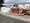 tiny_thumb_1_foto_ce6879dd_0ca7_4eb0_b6d9_ea6b609b5324